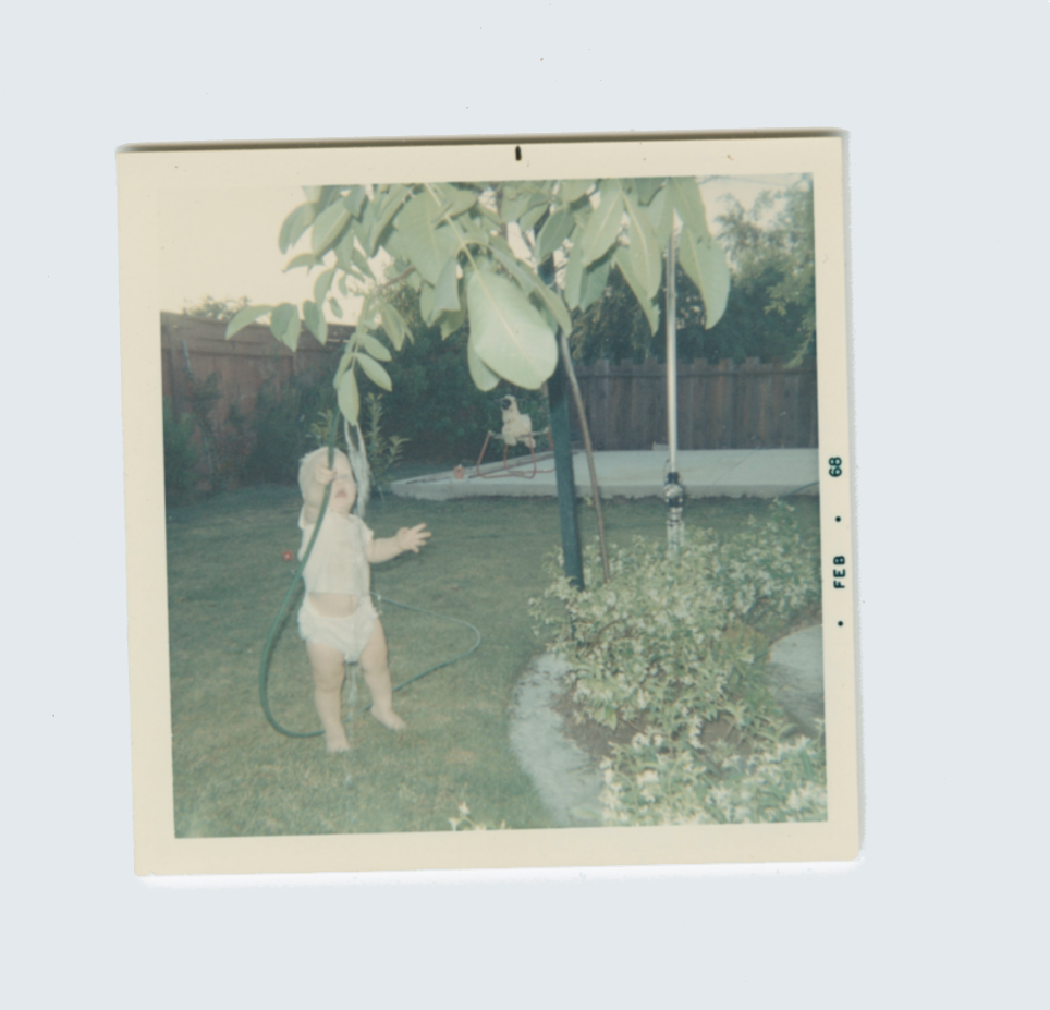 Negatives Photo